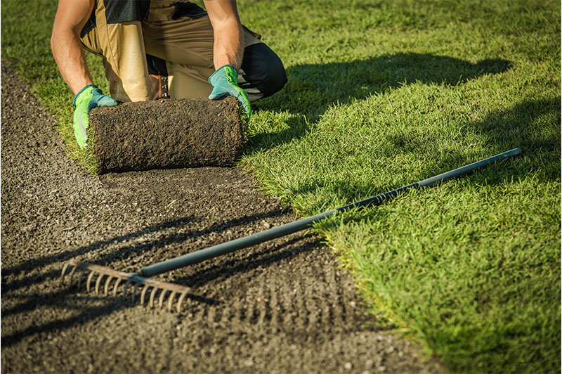 Farnham Property Maintenance_Turf
